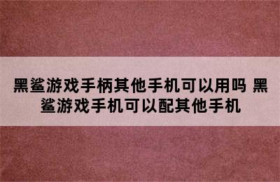 黑鲨游戏手柄其他手机可以用吗 黑鲨游戏手机可以配其他手机